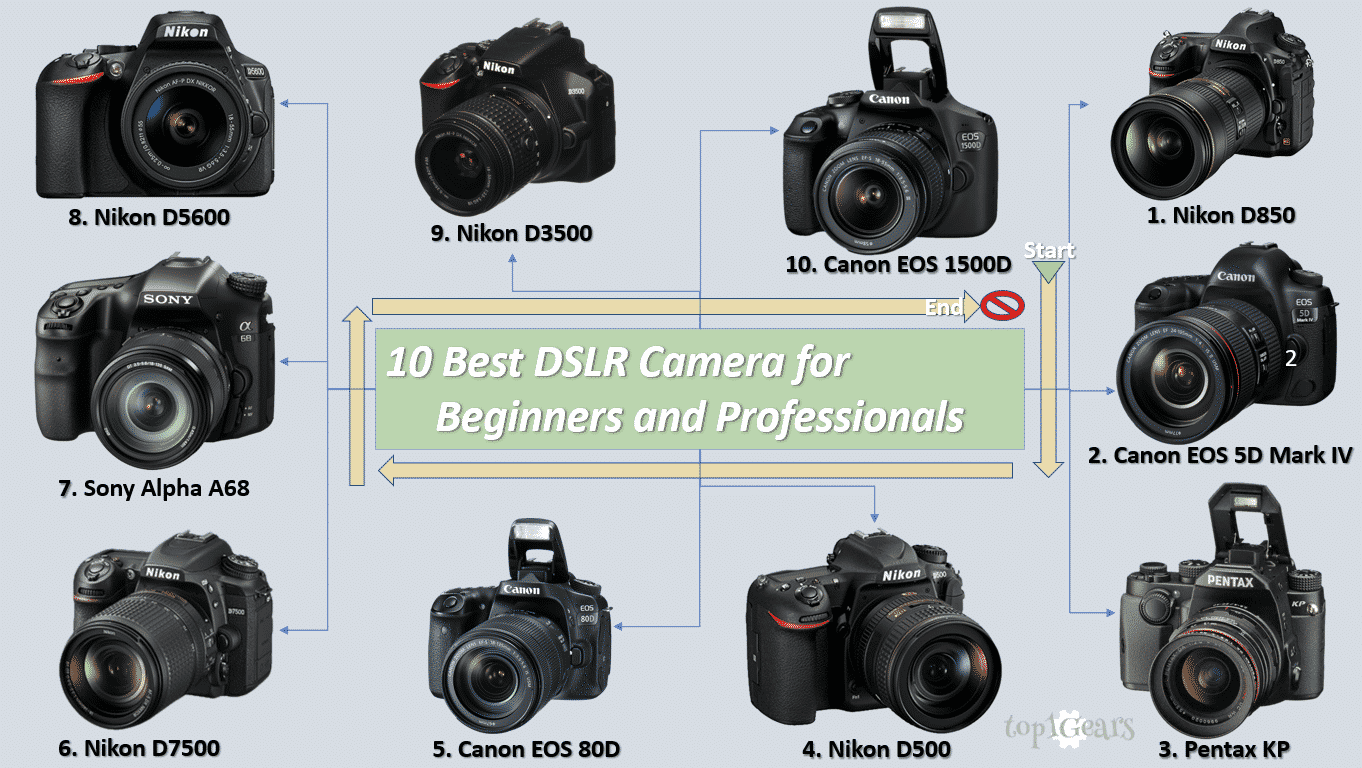 Top 10 Best DSLR Camera for Beginners and Professionals