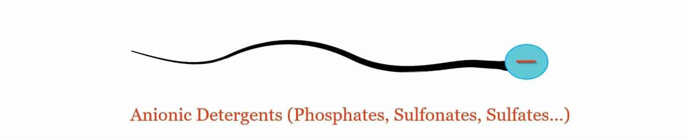 Anionic Detergent Molecule