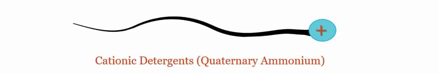Cationic Detergent Molecule