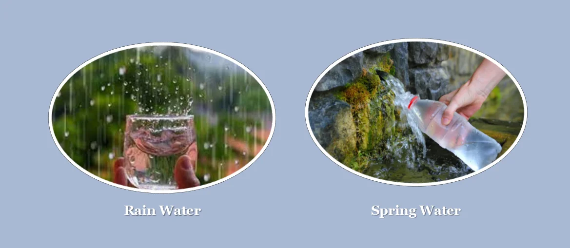 Different types of water for watering plants