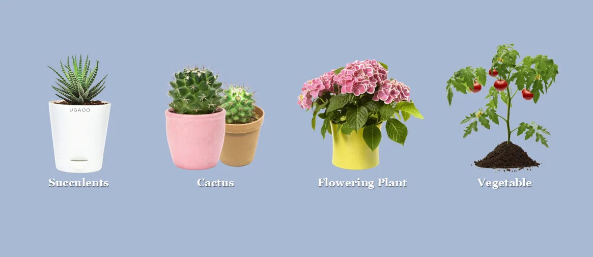 different types of Plants to water